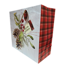 Jumbo Square Gift Bag - Botanical