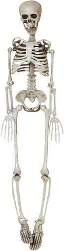 Hanging Plastic Skeleton - 3 Feet Tall - The Country Christmas Loft