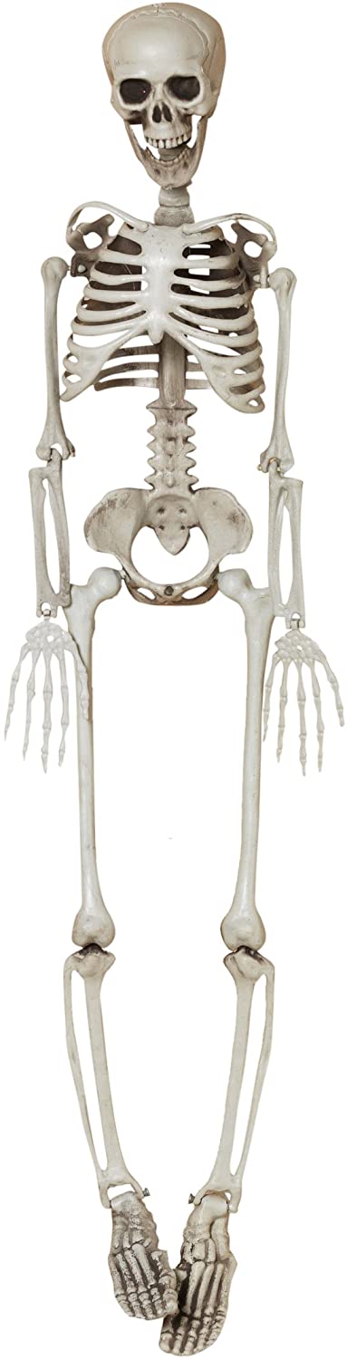 Hanging Plastic Skeleton - 3 Feet Tall - The Country Christmas Loft