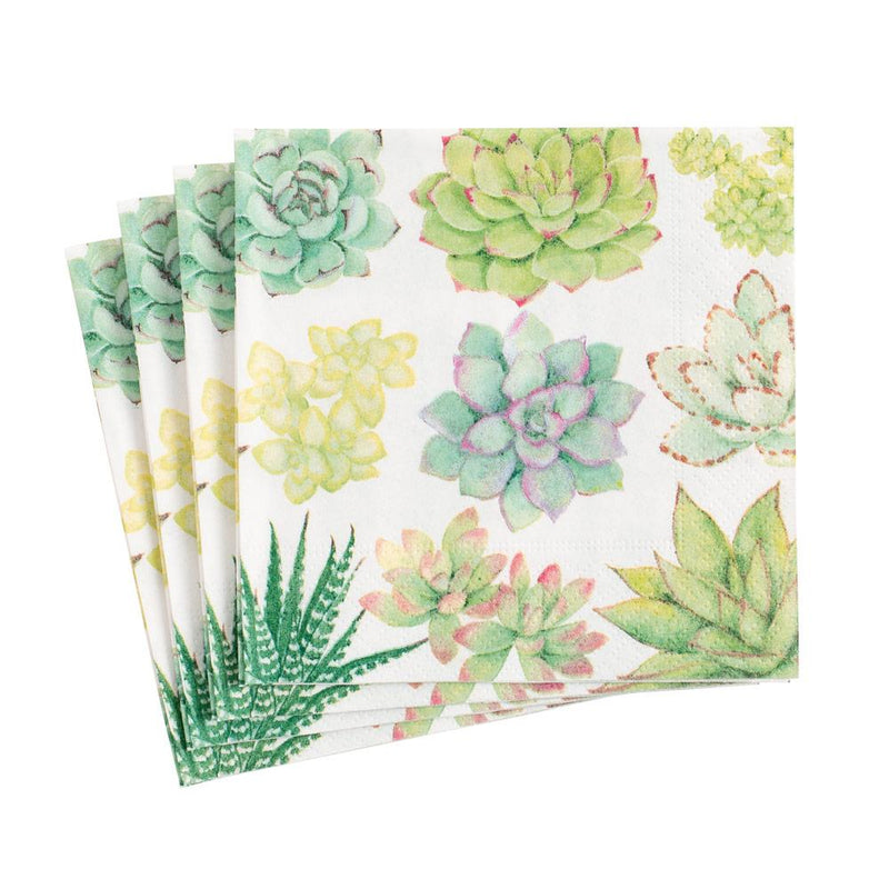 Succulents Paper Cocktail Napkins - Cocktail Napkin