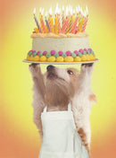Hope This Birthday Outshines - Birthday Card