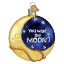 Lasso The Moon  Glass Ornament