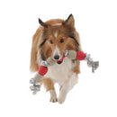 Rugged Nylon and Rope Dog Tug Rope