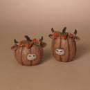 Resin Pumpkin Highland Cow Figurine - - Gift Shoppe >> Figurines - by Gerson