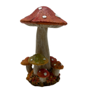 Dark Orange Harvest Mushrooms