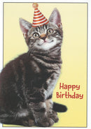 From The Cat - Birthday Card