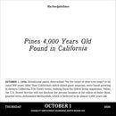 New York Times Headlines in History Page-A-Day Calendar 2026