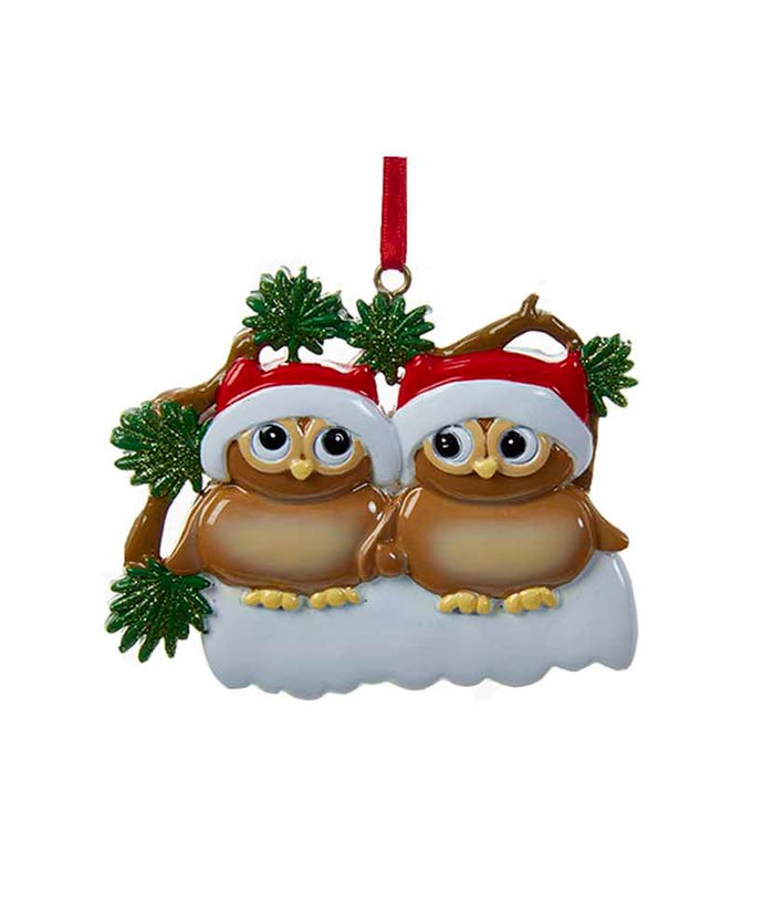 Owl Family of 2 Ornament