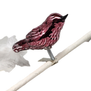 Glass and Enamel Clip on Bird Ornament Set - Pink and Red