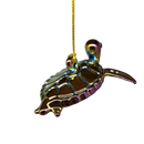 Chromatic Collection Seaturtle