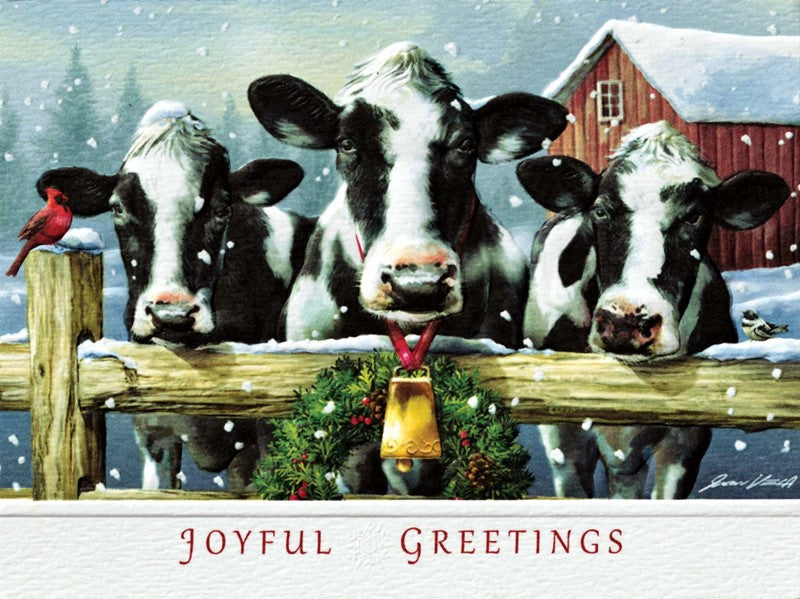 Holstein Hello Petite Boxed Cards - The Country Christmas Loft