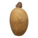 Modern Style Holy Family Carved Nativity - Ash Wood - 6 Inch