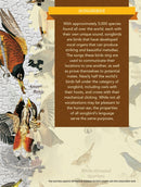 Audubon - Songbirds 1000 Piece Puzzle