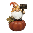 Fall Gnome Pumpkin -