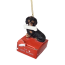 Dachshund - black with Bone Ornament