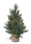 Cozy Anchorage Fir Lighted Tree - 24 inch - by A&B Floral