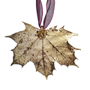 Gold Sugar Maple Leaf with Sheer Ribbon Ornament