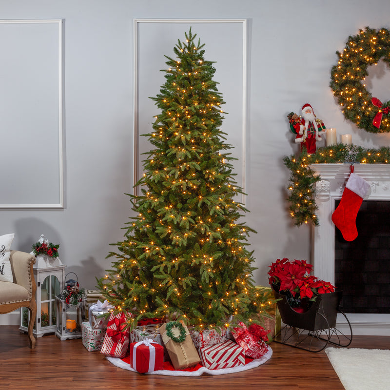 7.5 foot Natural Cut Frasier Fir- Clear Lights - The Country Christmas Loft