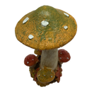 Hint of Green Harvest Mushrooms