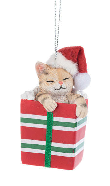 Comfy & Cozy Pet Ornament -  American Shorthair Cat