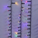 Dual-Color 600 LED Multifunction Rice Lights