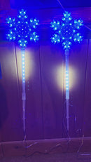 Lawn Stake Lighting - Blue and White
