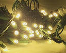 50-Light 5mm Warm White Twinkle LED Green Wire Light Set