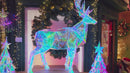 3 Foot LED Multifunction Holographic Reindeer