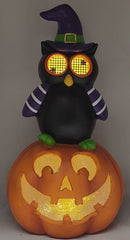 Owl On Pumpkin  With Moving Digital Eyes