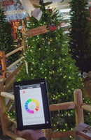 Appleton Pine - 7.5 foot - 760 LED Lights - Multi-Color