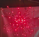 24 Inch 120 LED Branchball - Red