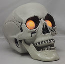 Lighted Halloween Skull with Sound