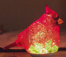 Lighted WaterGlobe Night Light - Cardinal