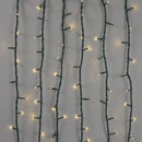 Jingle Bright 100 LED Light Set - Warm White Twinkle - Green Wire