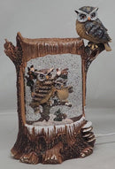 Lighted Holiday Owl Spinning Water Globe