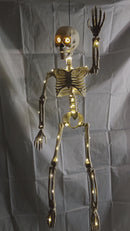 Lighted Skeleton with Moving Eyes -