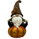 Give Thanks Gnome on Pumpkin