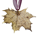 Gold Sugar Maple Leaf with Sheer Ribbon Ornament
