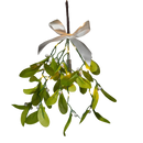 LED Mistletoe Branch