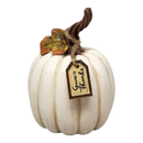 Charming Harvest Pumpkin -