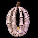 Lighted Resin Halloween Skeleton Pumpkin - Tall