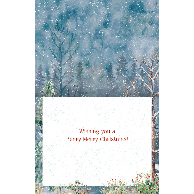 Beary Merry Christmas Boxed Christmas Cards