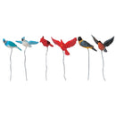 Backyard Birds - Set Of 6 - Villages - by Lemax