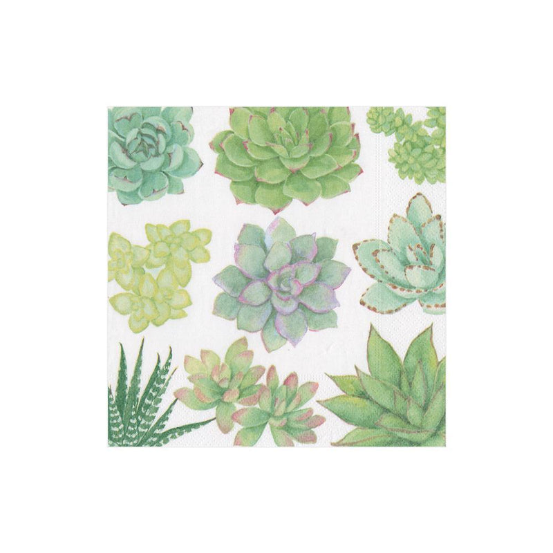 Succulents Paper Cocktail Napkins - Cocktail Napkin