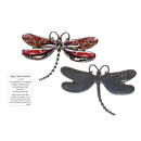 Dragonfly Inspriational Pocket Charm -