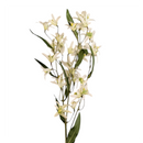 White Jasmine Stem - 29 Inch - Home & Living >> Artificial Flowers - by Teters