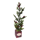 Potted Pine Tree - 24" Tall