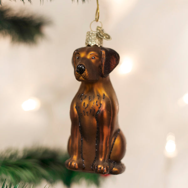Chocolate Labrador Glass Ornament