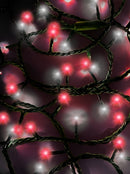 Jingle Bright 100 LED Light Set - Red/White - Green Wire - Christmas >> Lighting - by Kurt Adler - view 2