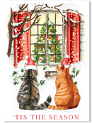 Love of Pets Boxed Cards (Two Cats at Window)